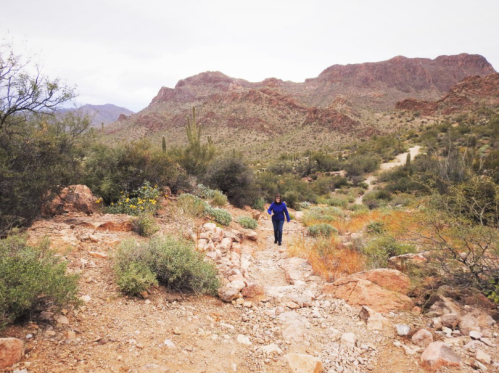 A person walks along a rocky trail in a desert landscape with mountains and sparse vegetation in the background.