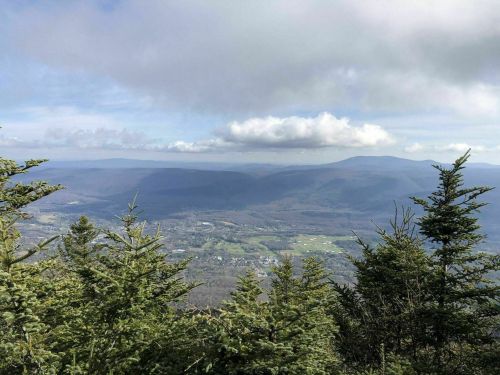 A panoramic view of rolling mountains and valleys under a partly cloudy sky, framed by evergreen trees in the foreground.