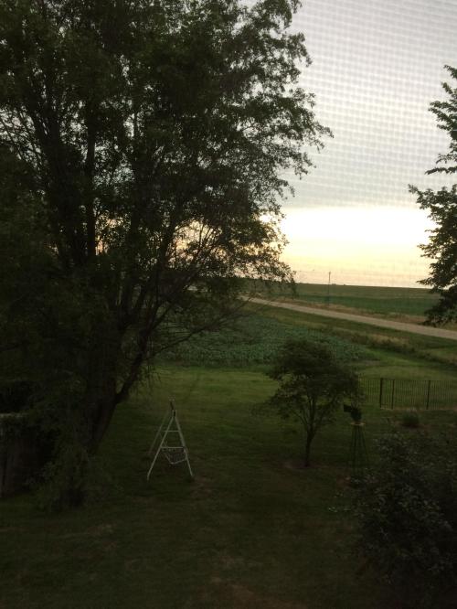 View of a grassy field and trees at dusk, with a cloudy sky and a distant horizon.