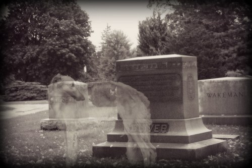 A ghostly dog stands beside a gravestone in a misty cemetery, surrounded by trees and a somber atmosphere.