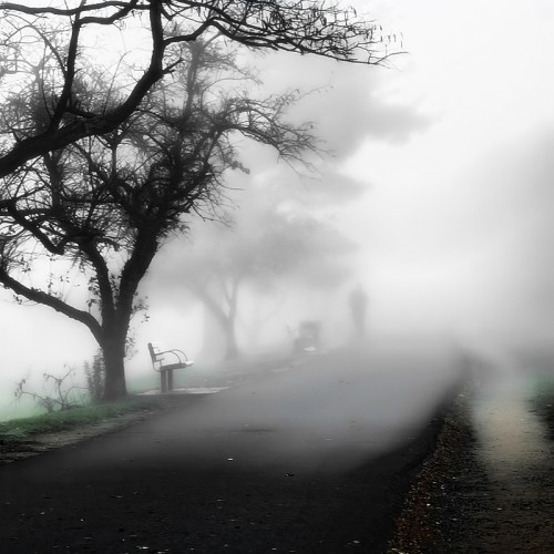 A foggy path lined with trees and benches, with a solitary figure in the distance.