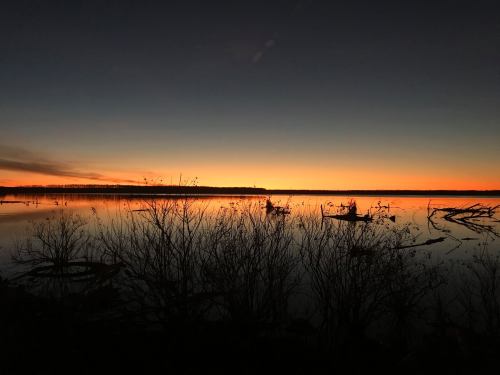 Silhouette of trees and water at sunset, with vibrant orange and blue hues reflecting on the calm surface.