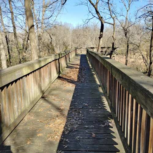 A wooden boardwalk stretches through a wooded area, surrounded by bare trees under a clear blue sky.