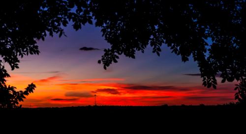 A vibrant sunset with shades of orange, purple, and blue, framed by dark silhouettes of tree leaves.