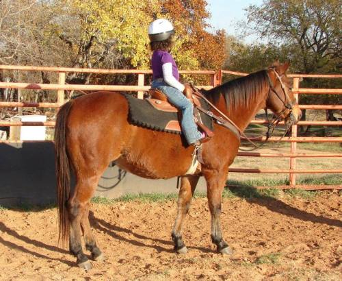 A child in a helmet sits on a brown horse in a sandy corral, surrounded by trees and a wooden fence.