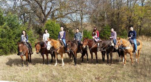 A group of six people on horseback in a grassy area, surrounded by trees on a sunny day.