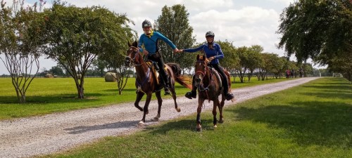 Two riders on horseback, one leading the other, along a gravel path lined with trees and open fields.