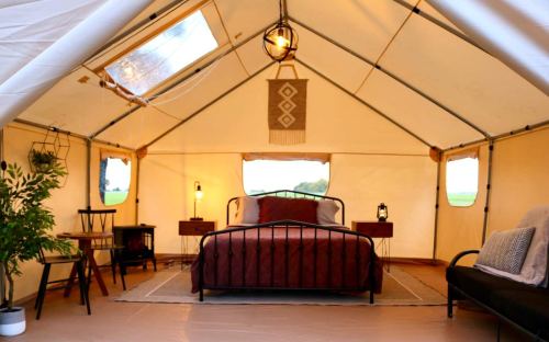 Cozy glamping tent interior featuring a bed, side tables, plants, and soft lighting, with windows showing greenery outside.