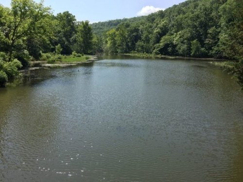 A serene lake surrounded by lush green trees under a clear blue sky.