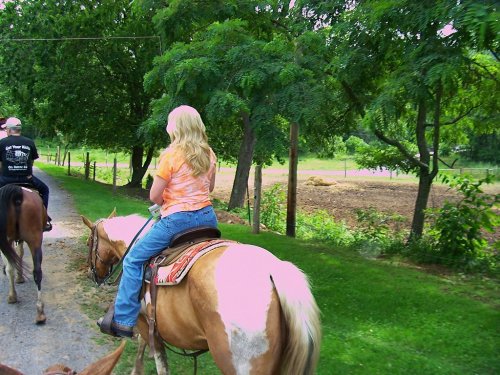 A person riding a horse along a dirt path, surrounded by trees and a field in the background.
