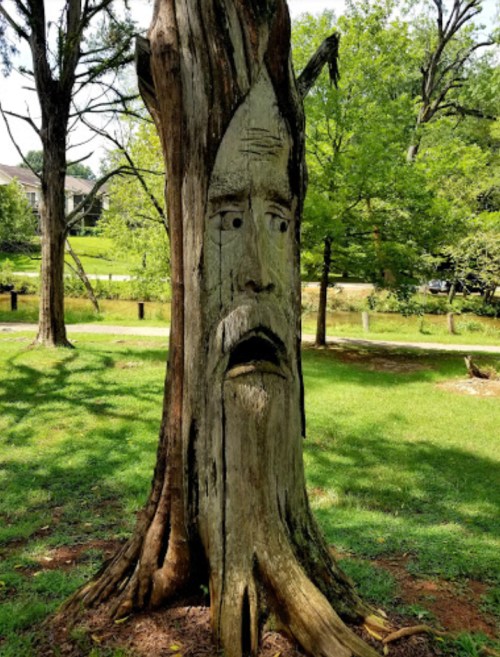 A tree trunk carved to resemble a face, with a surprised expression, surrounded by greenery in a park.