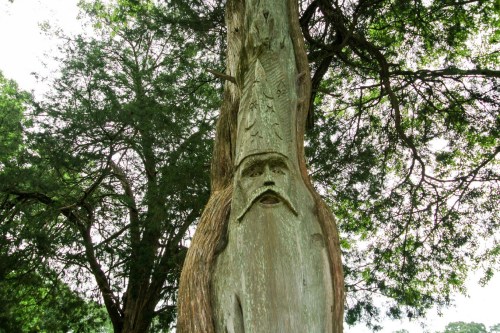 A carved tree trunk depicting a face, surrounded by lush green foliage.
