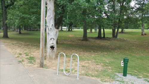 A carved tree with a face stands beside a bike rack in a grassy park area surrounded by trees.