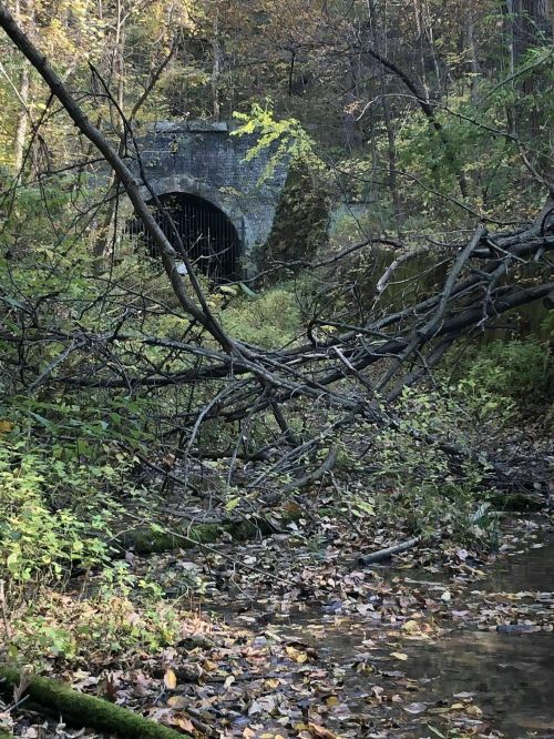 A dark tunnel entrance surrounded by trees and fallen branches, with a stream and autumn leaves in the foreground.