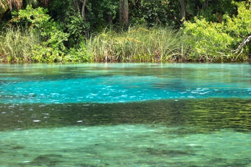 Clear turquoise water reflects lush greenery along the shoreline, creating a serene natural landscape.