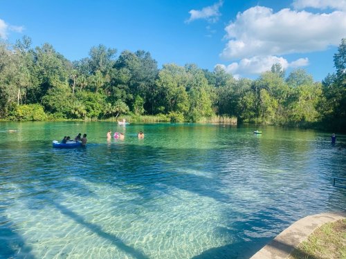 People enjoying a sunny day swimming and floating in a clear, greenish-blue natural spring surrounded by trees.