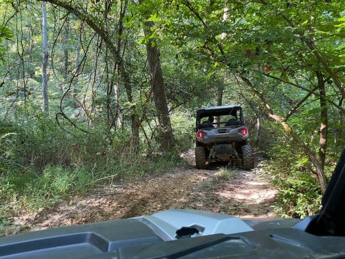 A view of a dirt trail in a forest with an ATV driving ahead, surrounded by lush greenery and trees.