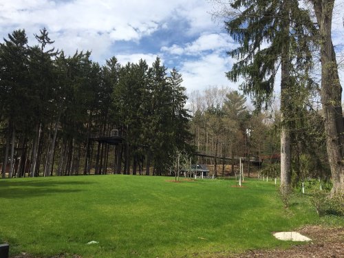 A lush green lawn surrounded by tall trees under a partly cloudy sky, with a path leading into the woods.