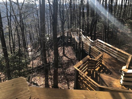 A wooden walkway winds through a forest, surrounded by trees and sunlight filtering through the branches.