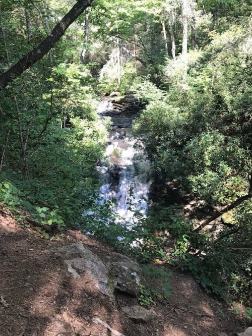 A serene waterfall cascades through lush green foliage in a wooded area.