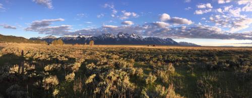 A panoramic view of snow-capped mountains under a blue sky with clouds, surrounded by grassy plains and sagebrush.
