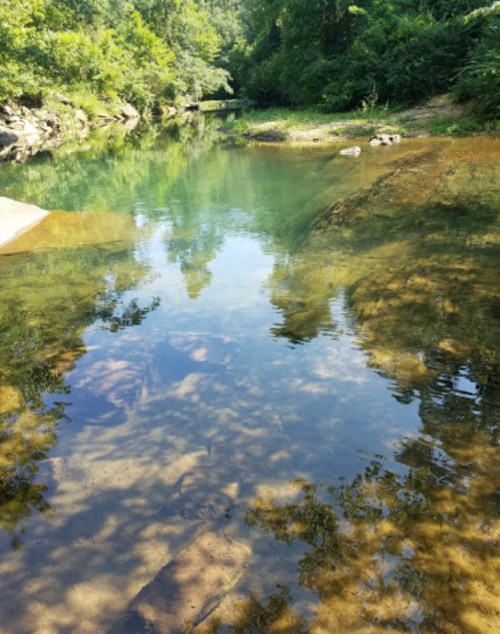 A serene, shallow creek surrounded by lush greenery and rocks, reflecting trees in the clear water.