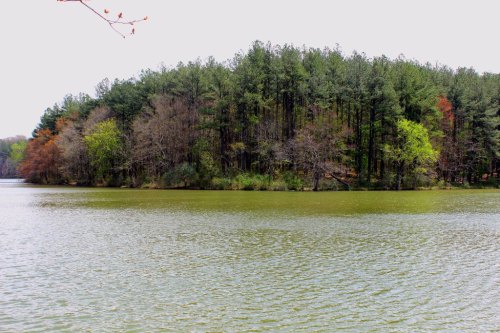 A serene lake surrounded by a lush forest with varying shades of green and hints of autumn colors.