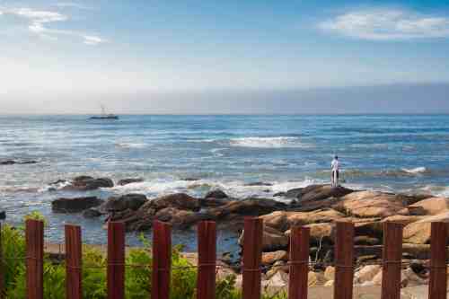A person stands on rocky shore, gazing at the ocean under a clear blue sky, with a wooden fence in the foreground.