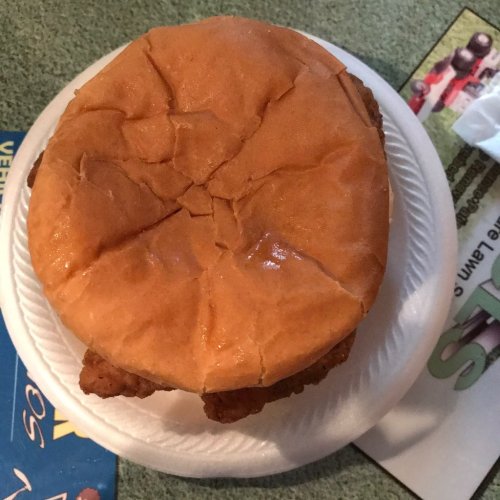 A top view of a sandwich with a golden-brown bun on a paper plate, resting on a green table.