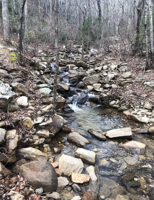 A serene stream flows over rocks in a wooded area, surrounded by trees and dry leaves.
