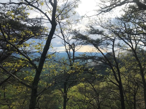A scenic view through trees, showcasing lush greenery and distant hills under a partly cloudy sky.