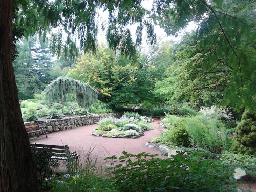 A serene garden with lush greenery, stone pathways, and benches surrounded by vibrant plants and trees.