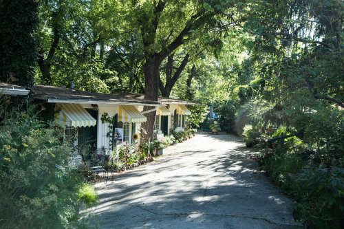 A charming pathway lined with small cottages, surrounded by lush greenery and colorful flowers under bright sunlight.