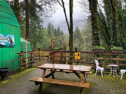 A wooden picnic table on a deck surrounded by trees, with a green building and cloudy sky in the background.