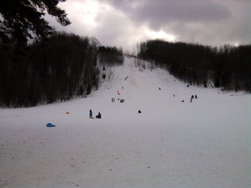 A snowy hill with people sledding and playing in the snow, surrounded by trees under a cloudy sky.