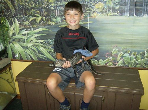 A smiling boy sits on a bench, holding a small alligator wrapped in a blue cloth, surrounded by a tropical backdrop.