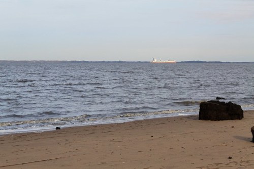 A calm beach scene with gentle waves and a distant cargo ship on the horizon under a clear sky.