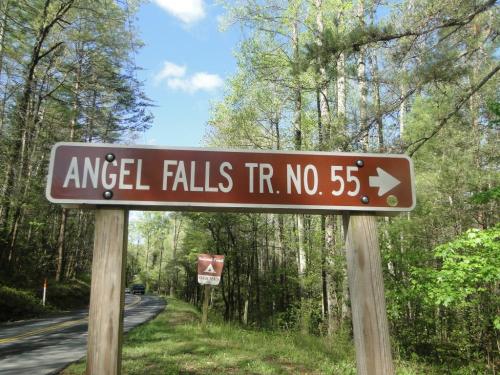 A brown sign indicating "Angel Falls Trail No. 55" with an arrow pointing to the right, surrounded by trees.