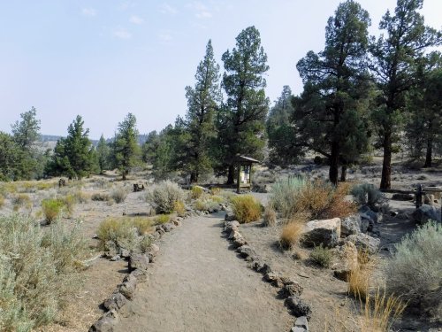 A sandy path winds through a landscape of shrubs and trees, leading to a signpost in a natural setting.