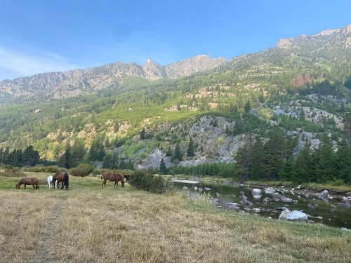 A serene landscape featuring horses grazing near a river, surrounded by mountains and lush greenery under a clear blue sky.