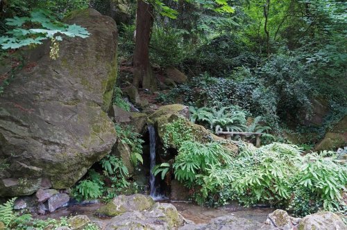 A serene forest scene featuring a small waterfall surrounded by lush greenery and large rocks.