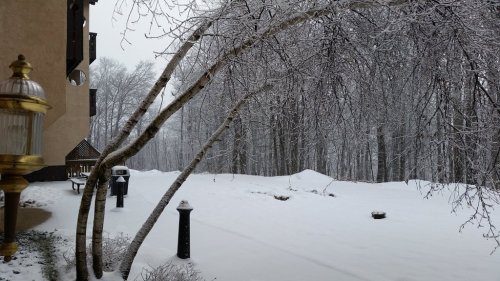 A snowy landscape with trees and a lamp post, creating a serene winter scene.