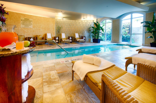 A serene indoor pool area with lounge chairs, plants, and refreshments, featuring a "No Diving" sign.