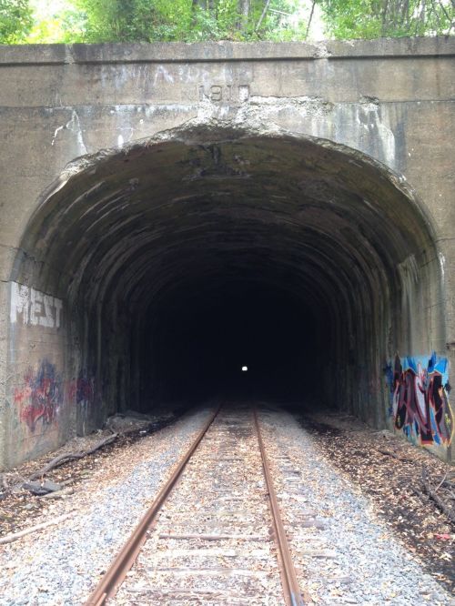 A dark tunnel with graffiti on the walls, viewed from the entrance, with train tracks leading into the darkness.
