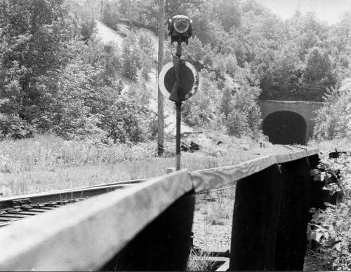 Black and white image of a railway track leading to a tunnel, with a signal post and lush greenery surrounding the area.