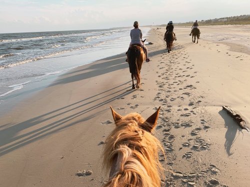 A group of horseback riders walking along a sandy beach with ocean waves in the background during sunset.