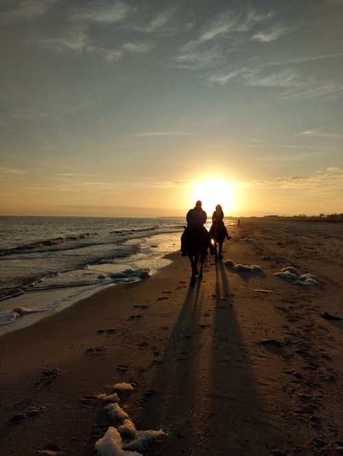 Two people ride horses along a beach at sunset, casting long shadows on the sand. Waves gently lap at the shore.
