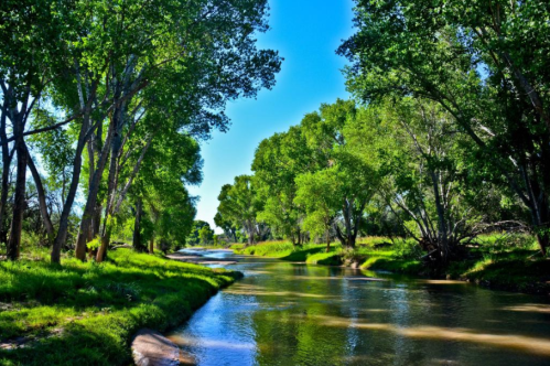 A serene river flows through a lush green landscape, surrounded by tall trees under a clear blue sky.