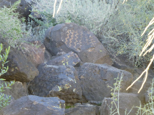 Petroglyphs etched on a large rock, surrounded by desert vegetation and other boulders.