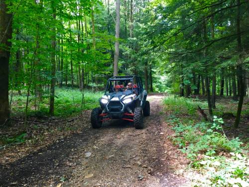 A side-by-side vehicle drives along a dirt path through a lush green forest. Sunlight filters through the trees.